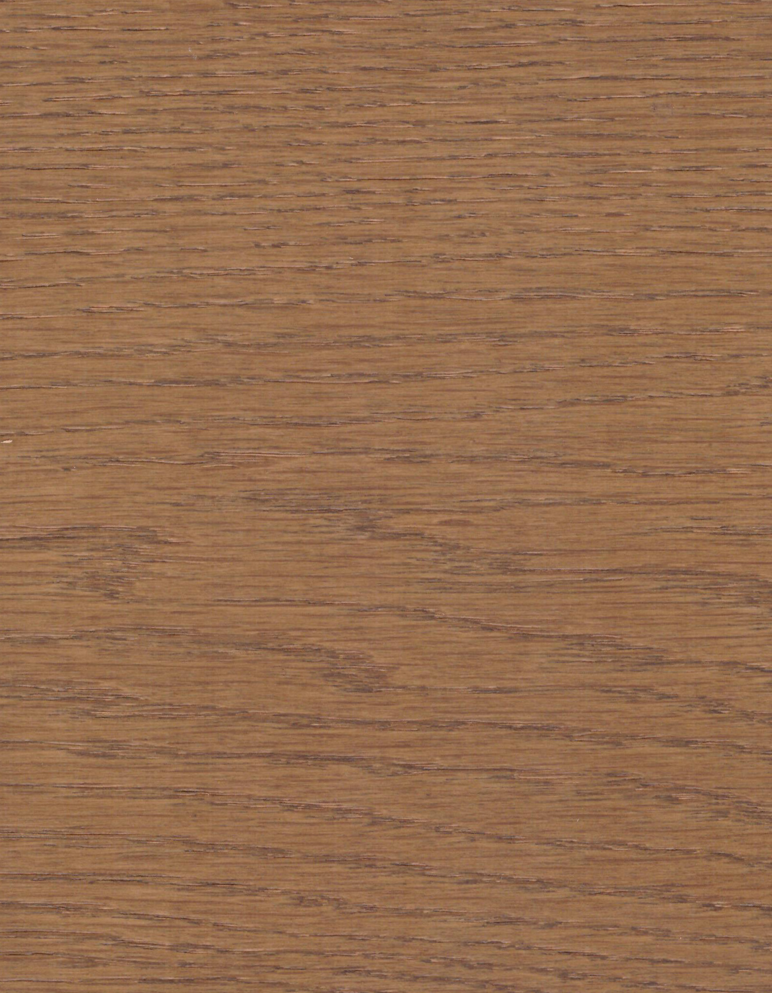 EA-o23C-02
