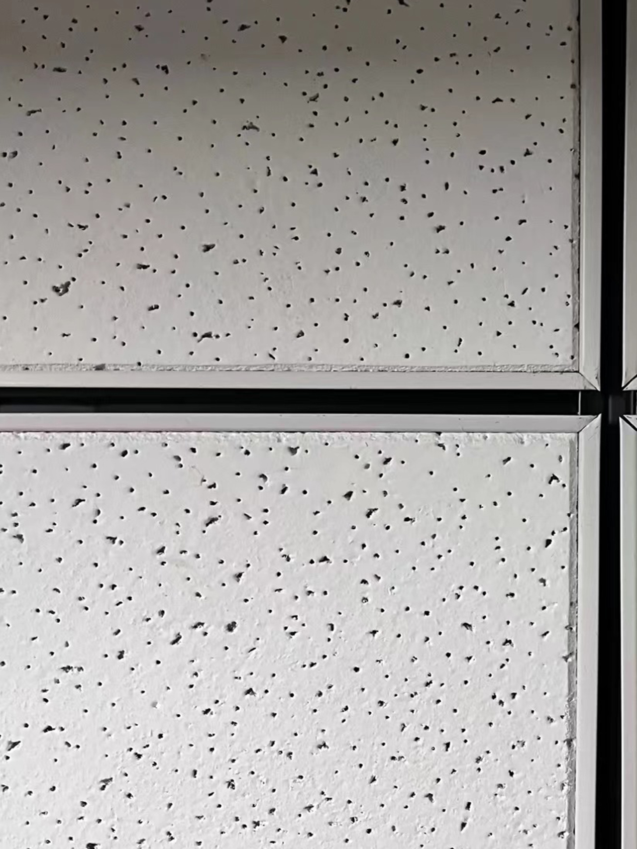 Acoustic ceiling 