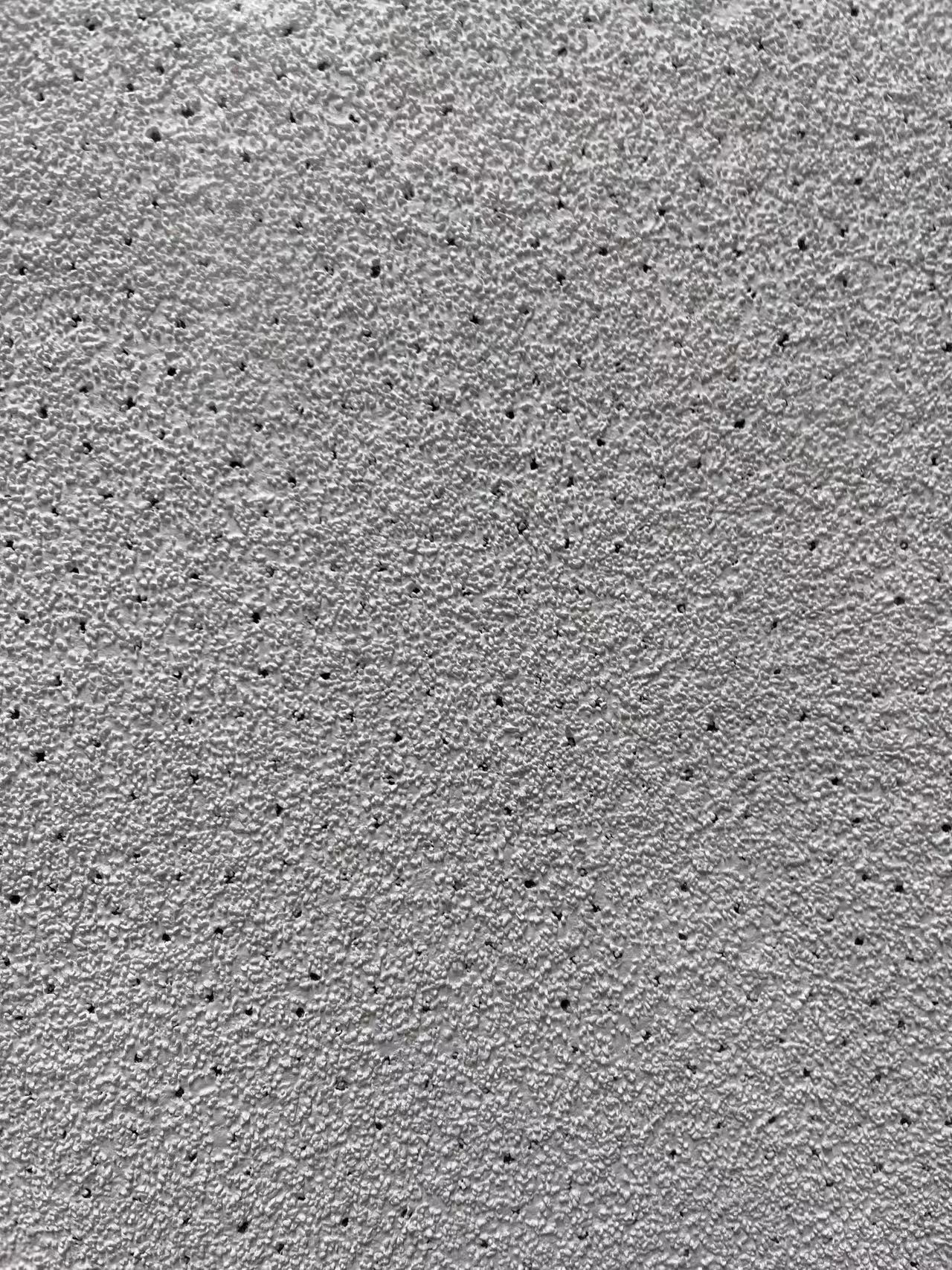 Acoustic ceiling 